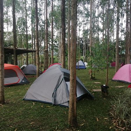 Masindi Murchison Backpackers מראה חיצוני תמונה