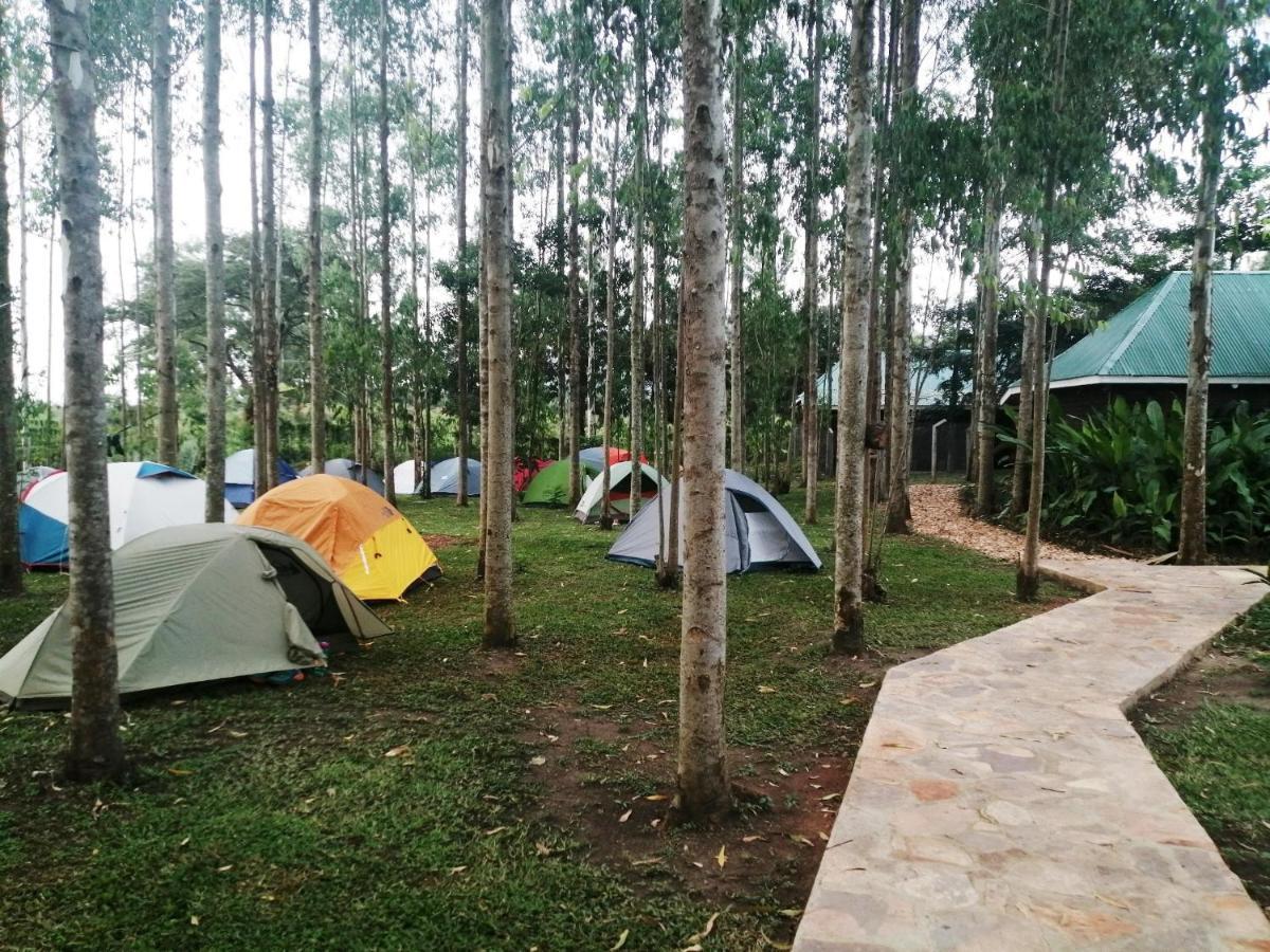 Masindi Murchison Backpackers מראה חיצוני תמונה