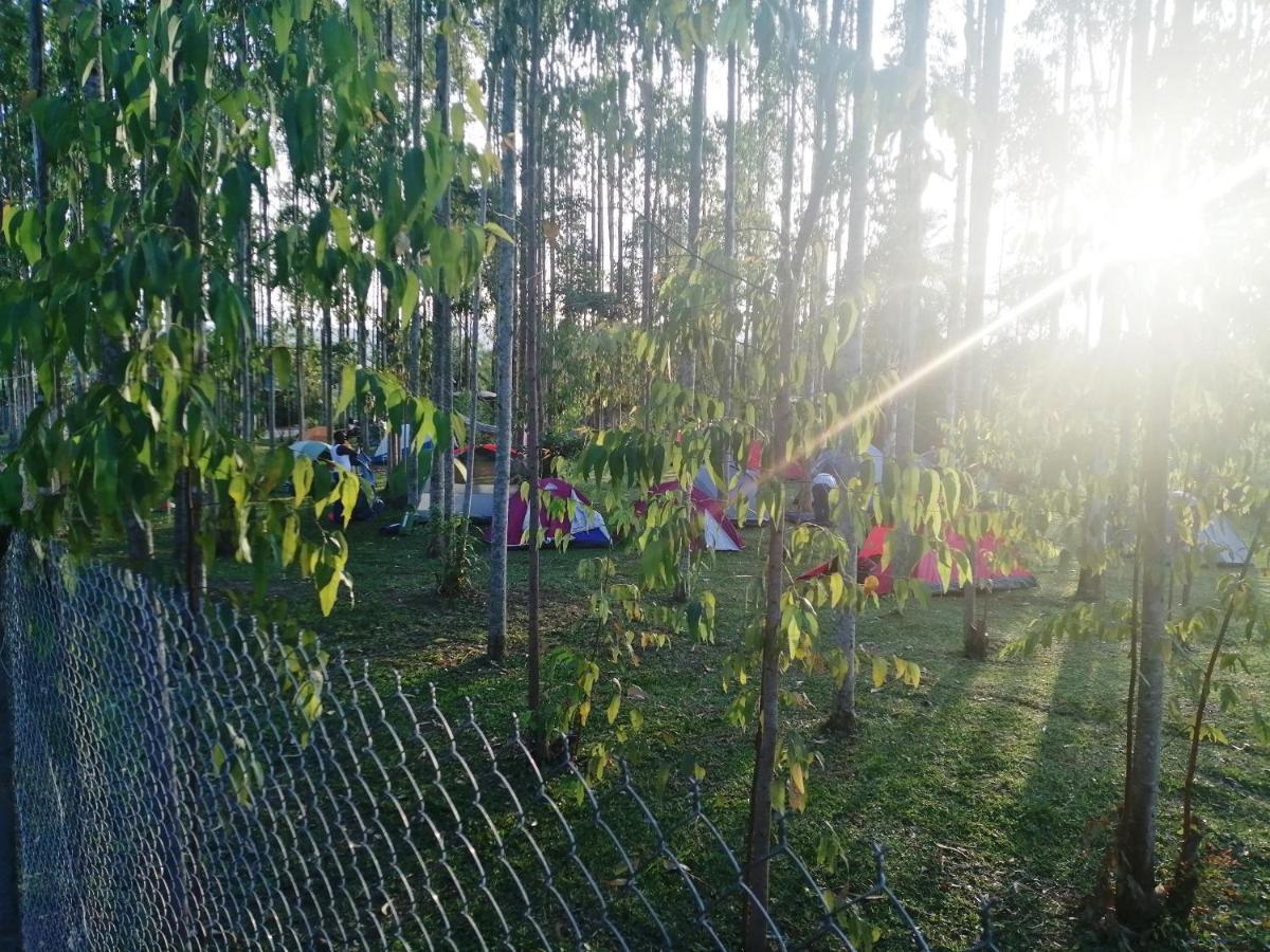 Masindi Murchison Backpackers מראה חיצוני תמונה
