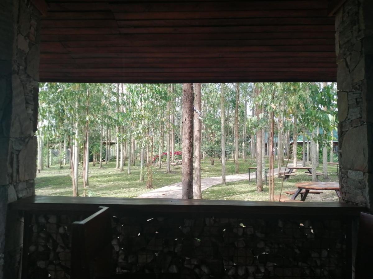 Masindi Murchison Backpackers מראה חיצוני תמונה
