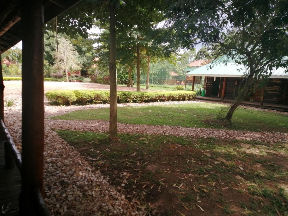 Masindi Murchison Backpackers מראה חיצוני תמונה