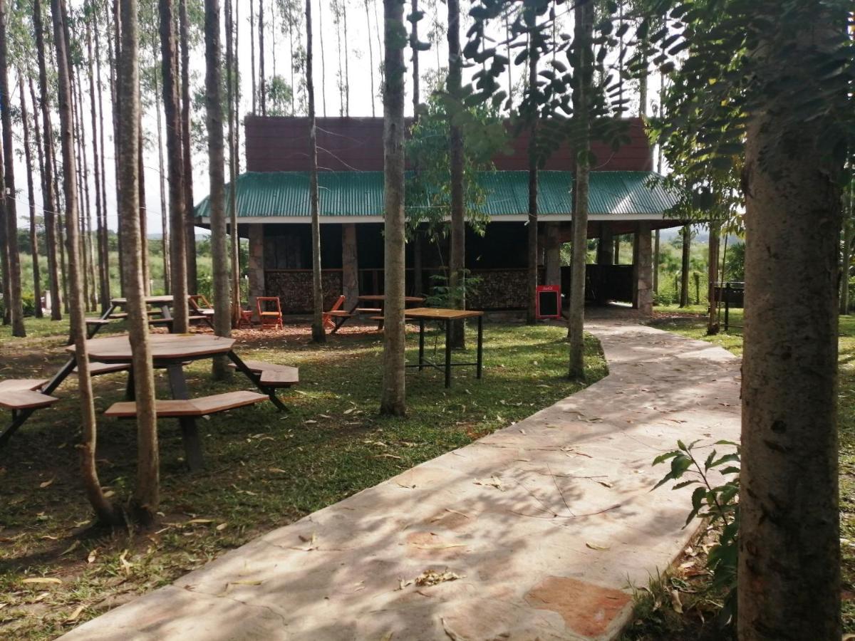 Masindi Murchison Backpackers מראה חיצוני תמונה