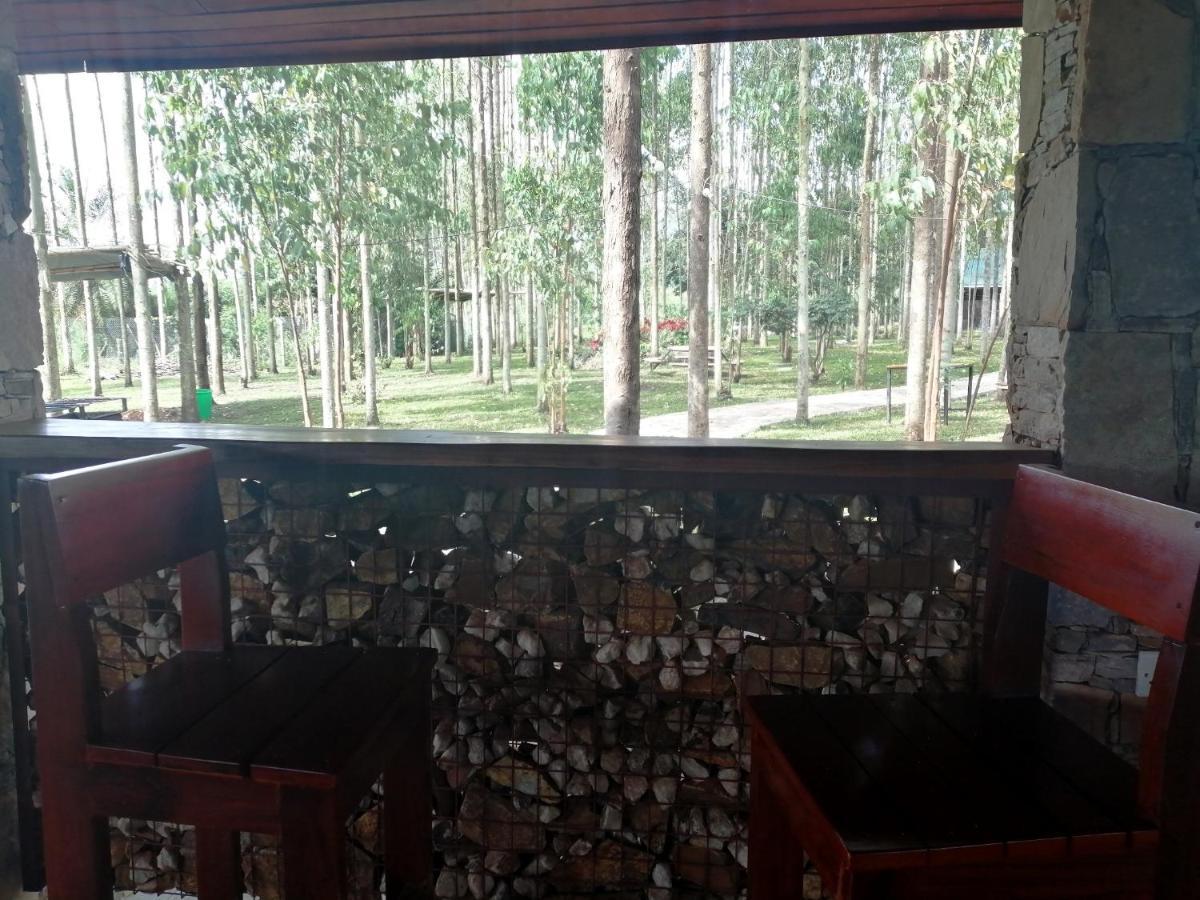 Masindi Murchison Backpackers מראה חיצוני תמונה